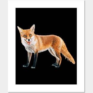 Fox - Woodland Themed Kids Room, Funny Gifts For Forester, Cute Animals Posters and Art